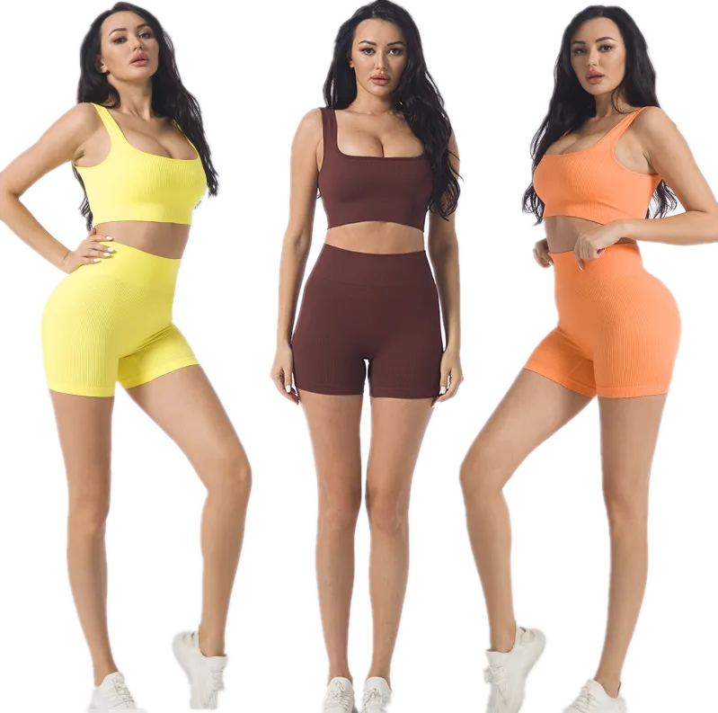 2023 Breathable Customizable Elasticity Gym Fitness Sets Women 2 Piece Seamless Summer Yoga Sports Bra Sweat Shorts Yoga Set