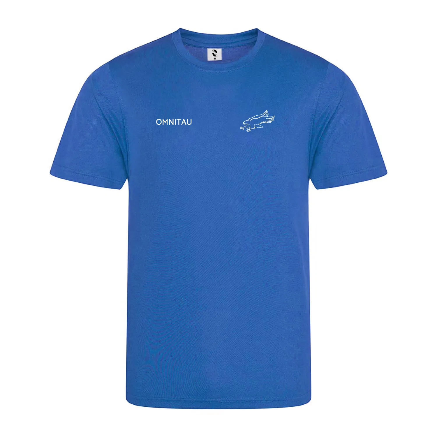 ACS Hillingdon Women's PE Technical T-Shirt - Royal Blue