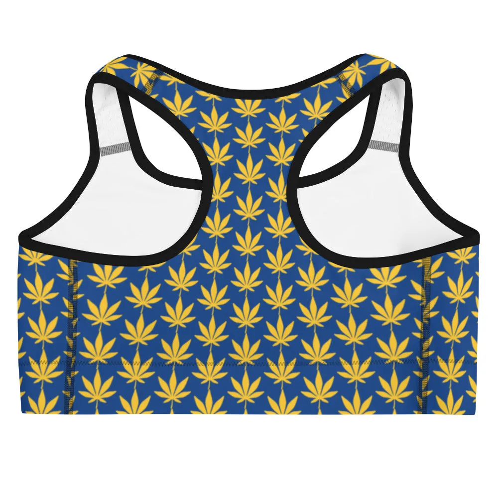 Blue And Yellow Sports bra