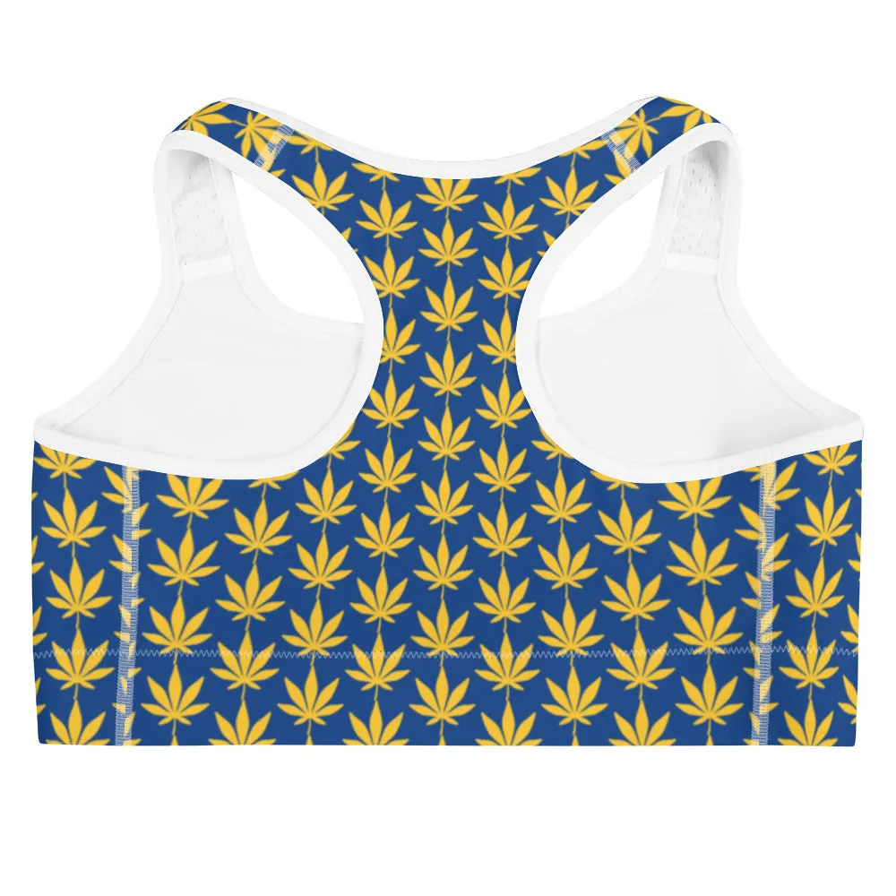 Blue And Yellow Sports bra