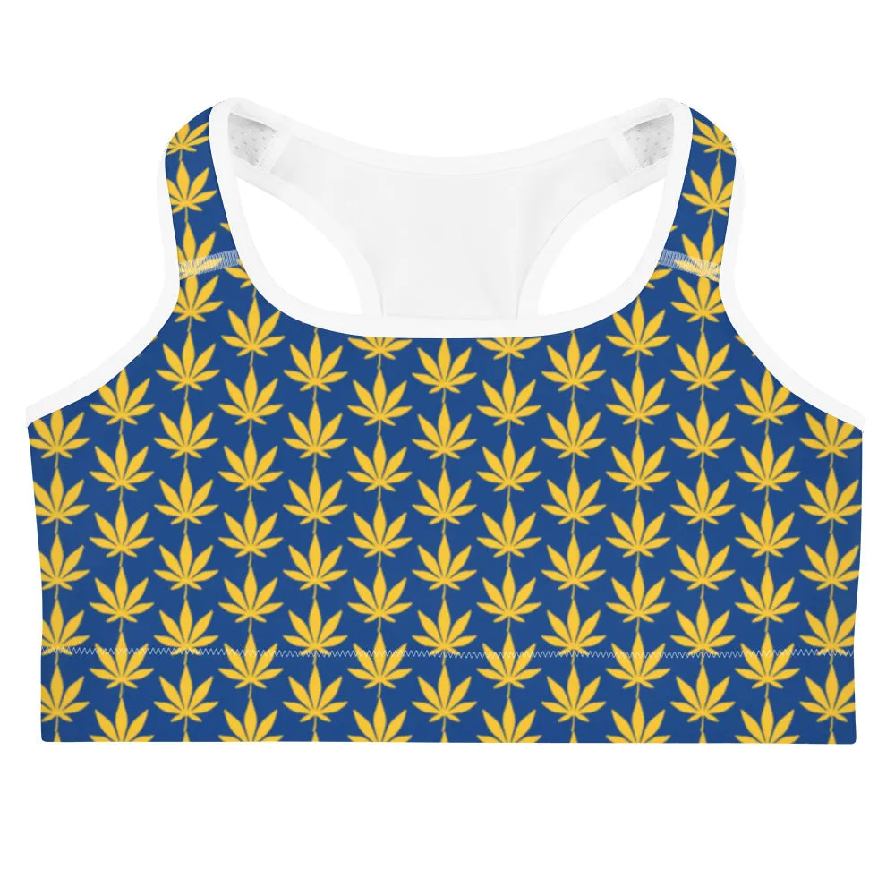 Blue And Yellow Sports bra