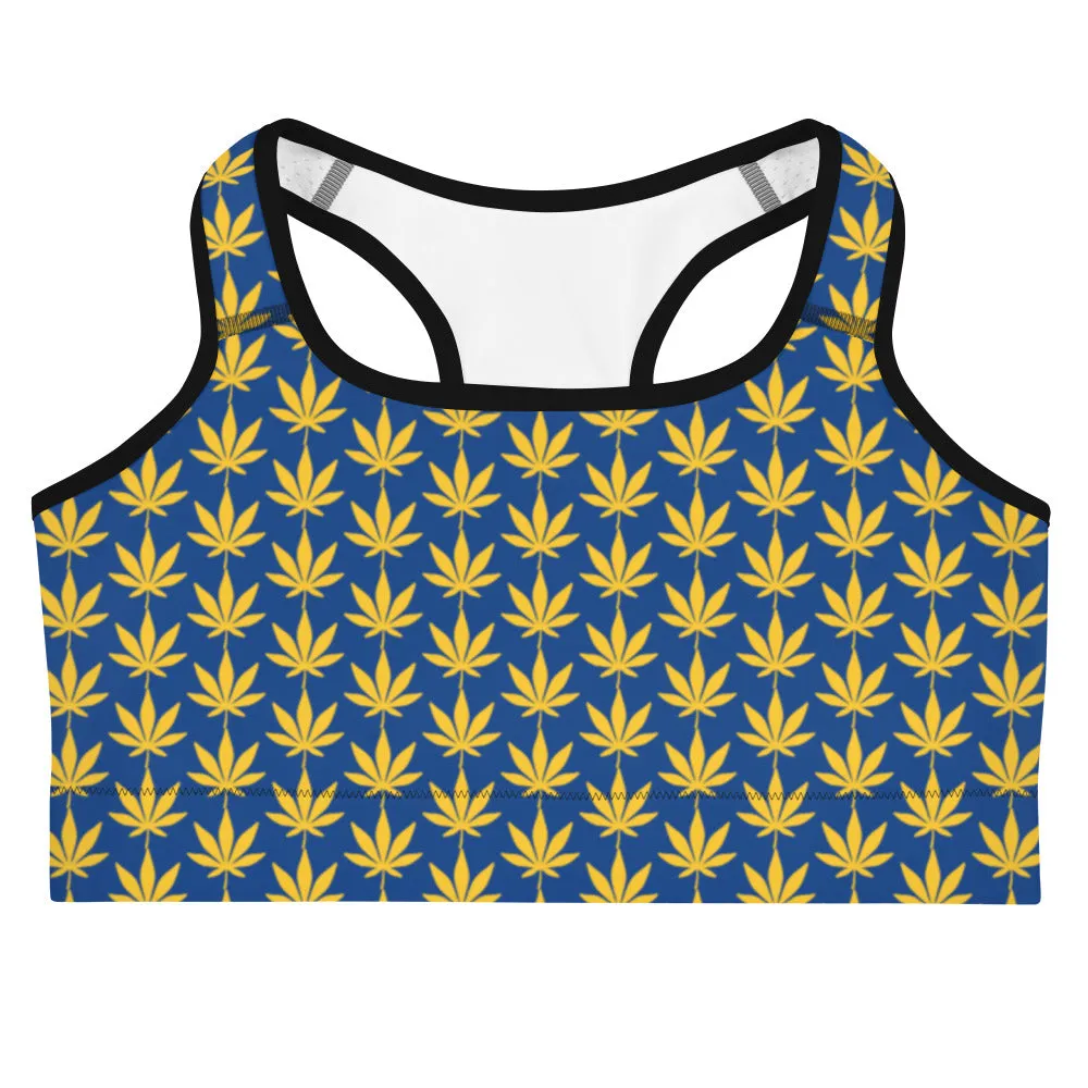 Blue And Yellow Sports bra
